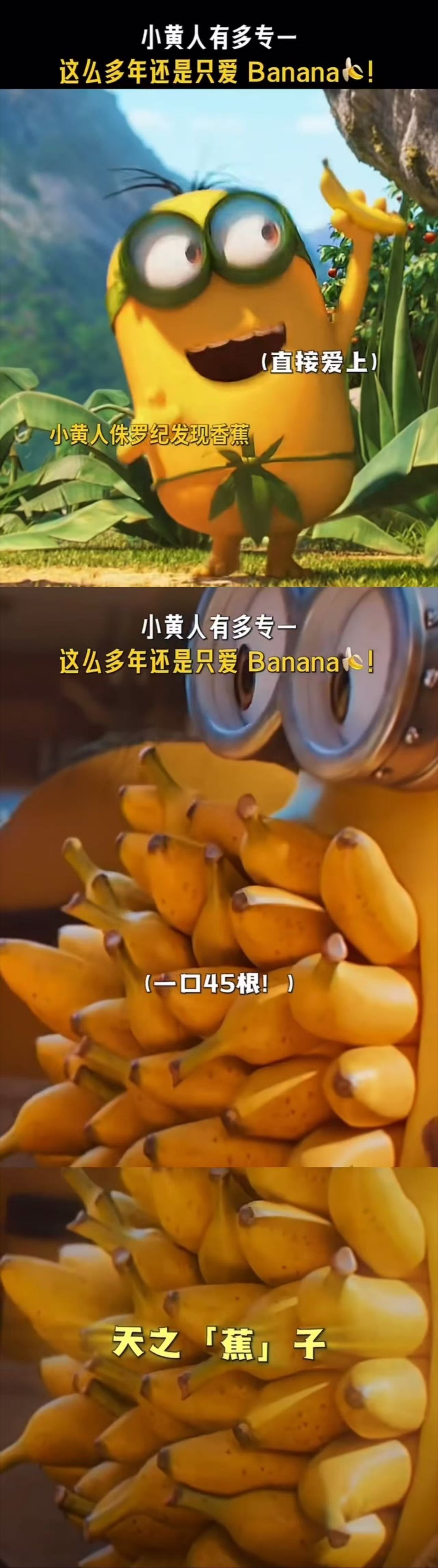 小黄人把爱吃香蕉刻进DNA偷皇冠会分心盯香蕉，漂流时幻想香蕉，监狱里纹香蕉纹身。