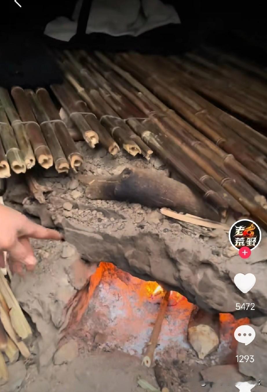 荒野求生造了个火炕庇护所！这是开挂了快看这广西柳州大哥！荒野求生第23天，