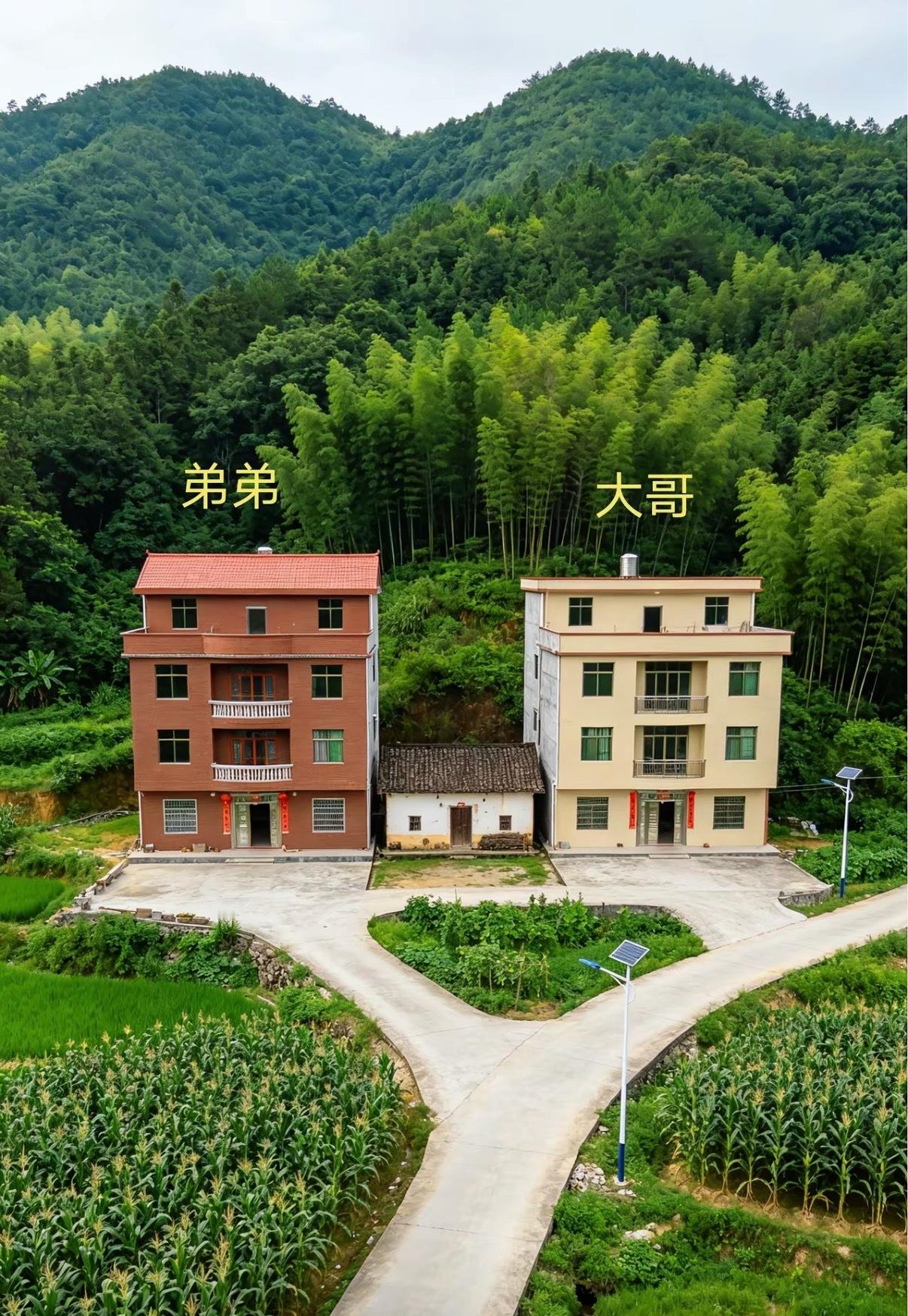 看到大哥和弟弟这样修路，我就再也不想回老家了​​​