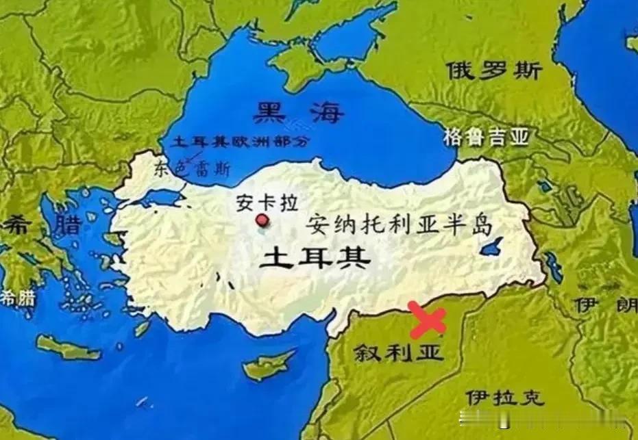 土耳其和比亚迪的建厂合作暂停。五月上旬的土耳其媒体确认，比亚迪汽车在土耳其建