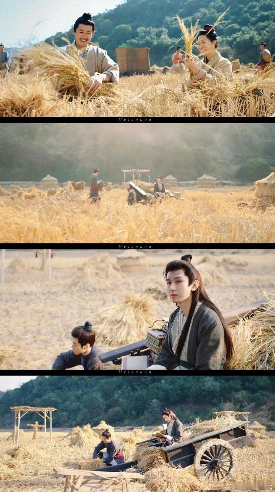 成毅长安二十四计长镜头芦苇荡的镜头语言太高级！缓慢的推移和环绕，不仅呈现环境，