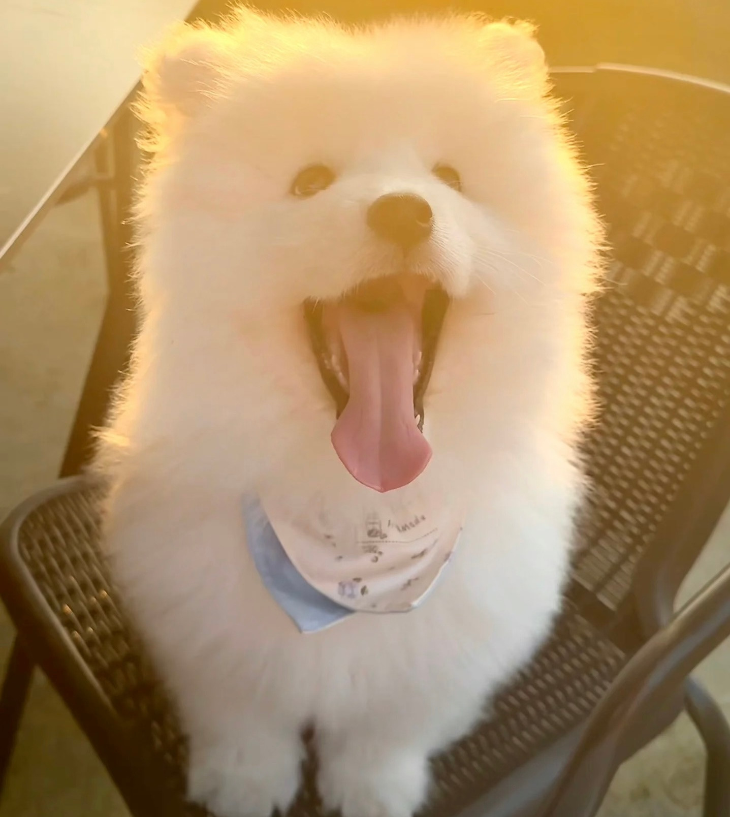 夕阳西下，可爱耶​​​