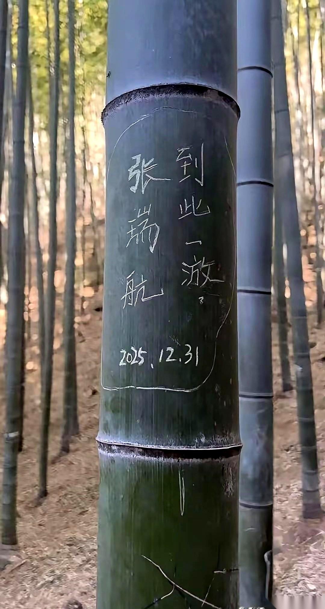 石头上赫然刻着三个大字：“到此一放”。路过的人眼珠子差点飞出去。这哪是到此一游