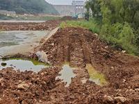 云南曲靖，甘某渔业养殖合作社的鱼塘突然被人挖开，鱼塘里的鱼大量进入河里，剩下的都