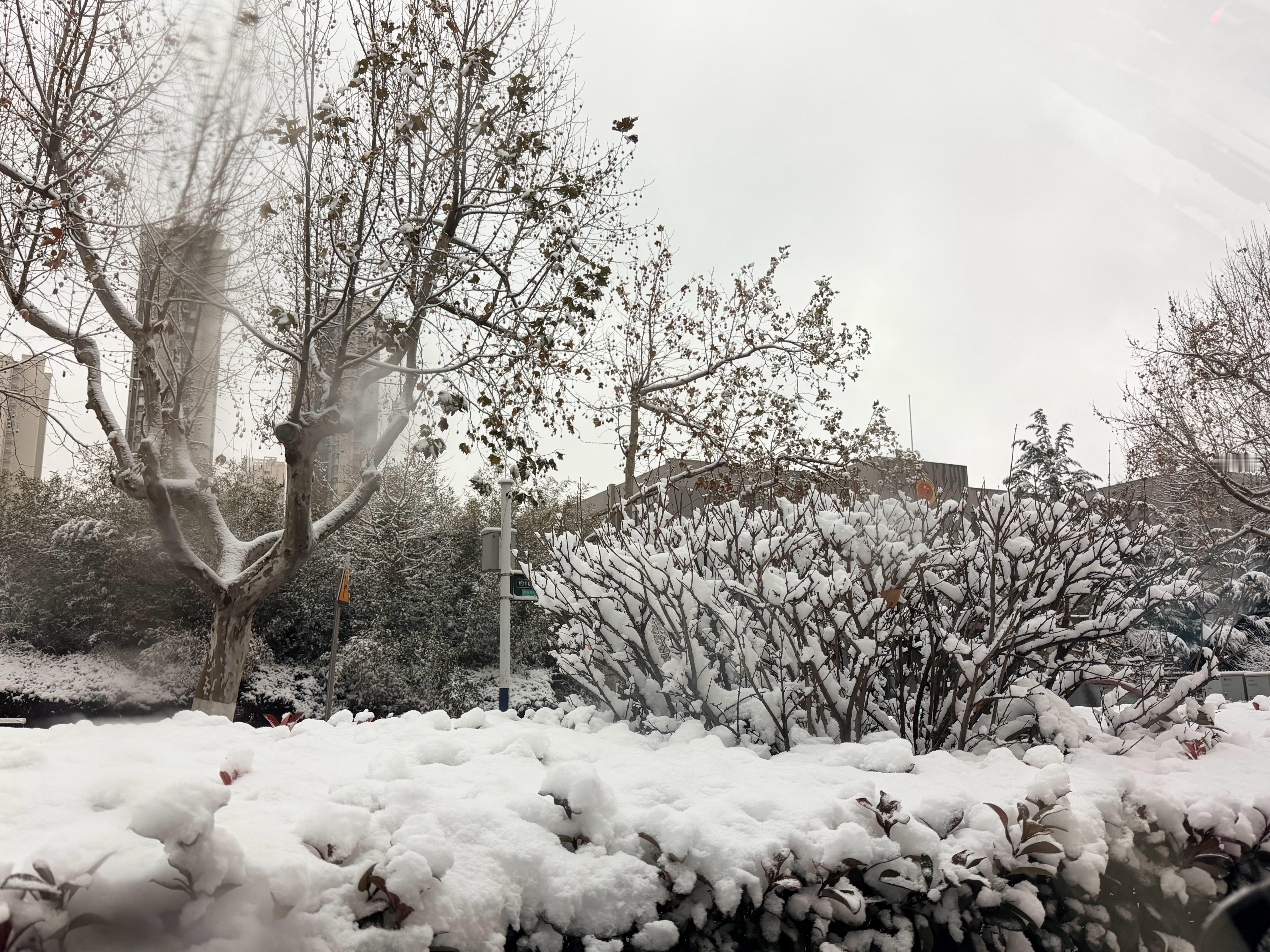 青岛下雪一觉醒来，白雪皑皑～青岛