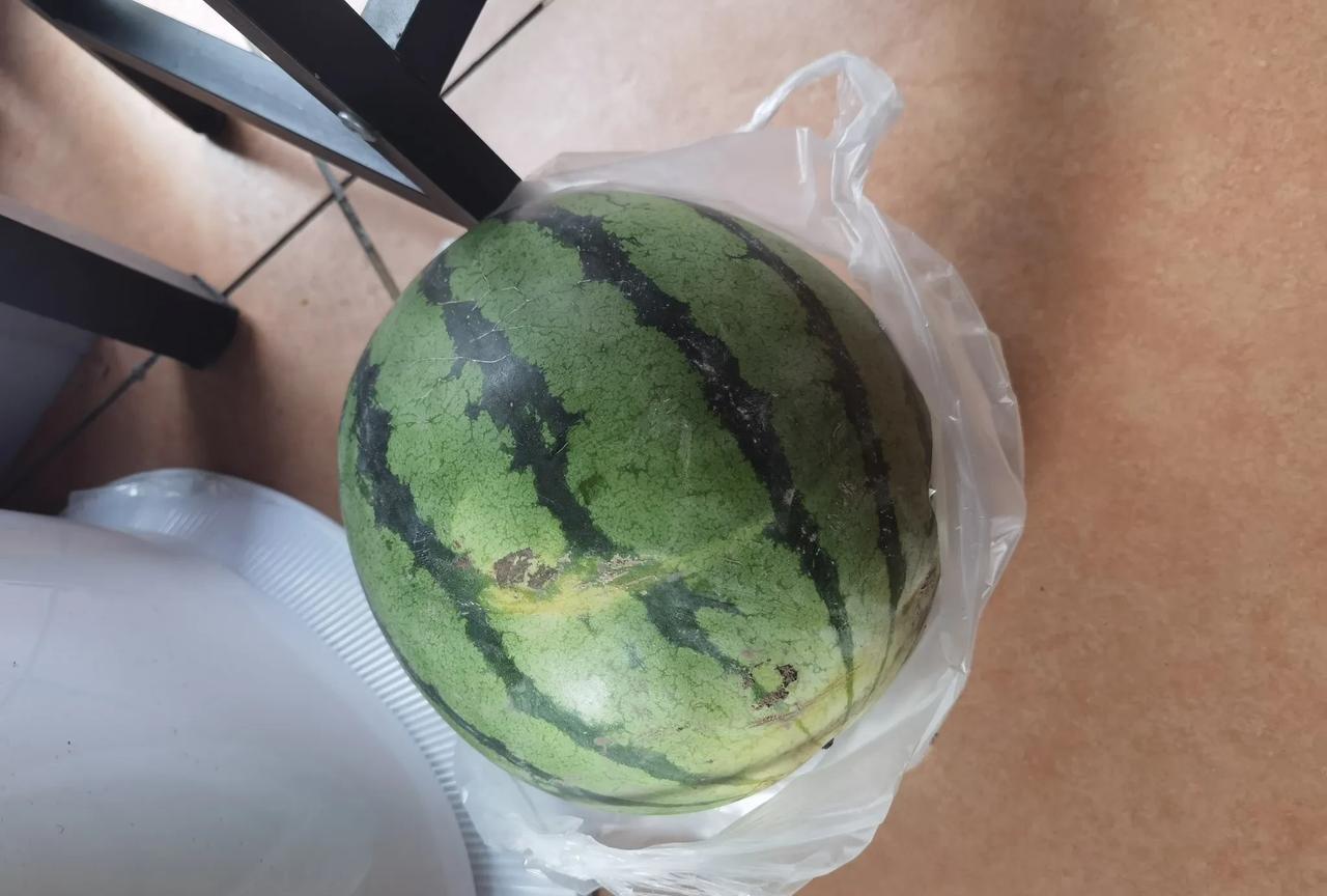 今天我老顾客在店里吃着馄饨就出去给我买了个西瓜，进来的时候我还说今年西瓜便宜哈，