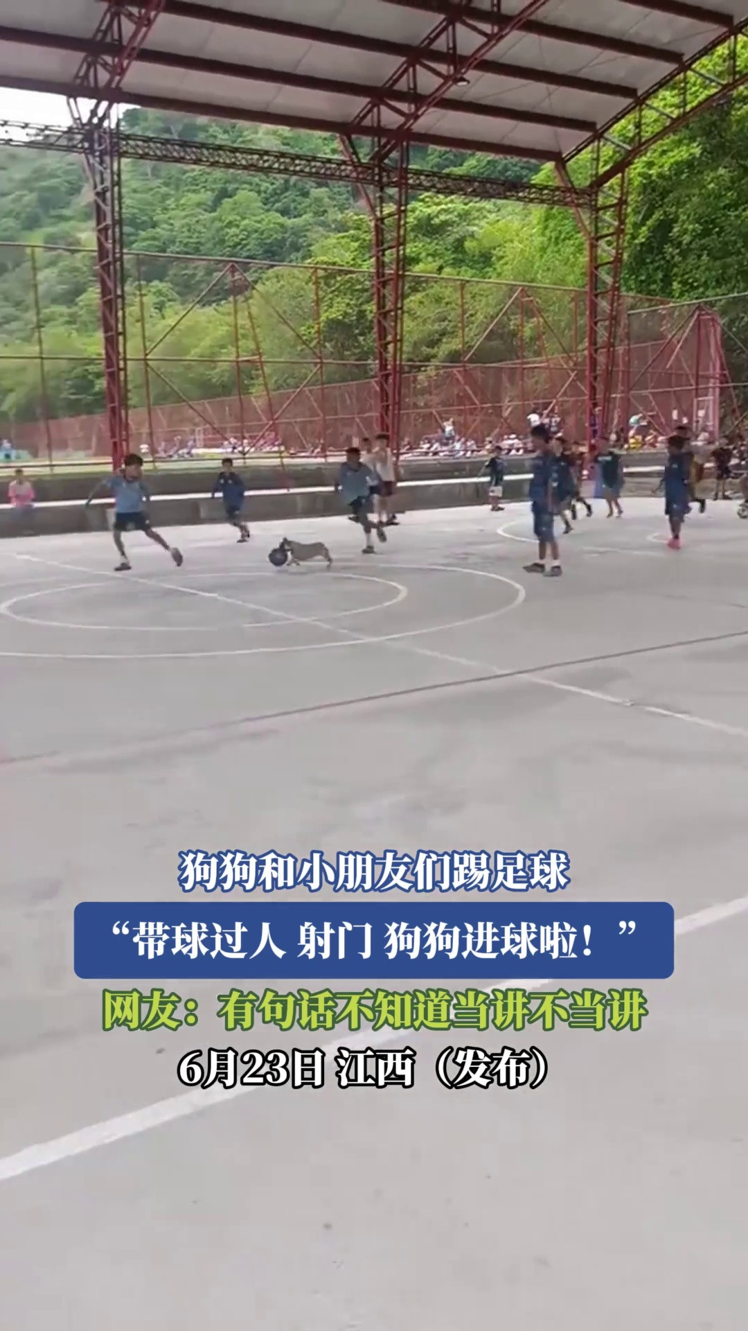 狗狗和小朋友们踢足球，“带球过人、射门，狗狗进球啦！”网友：有句话不知道当讲不当