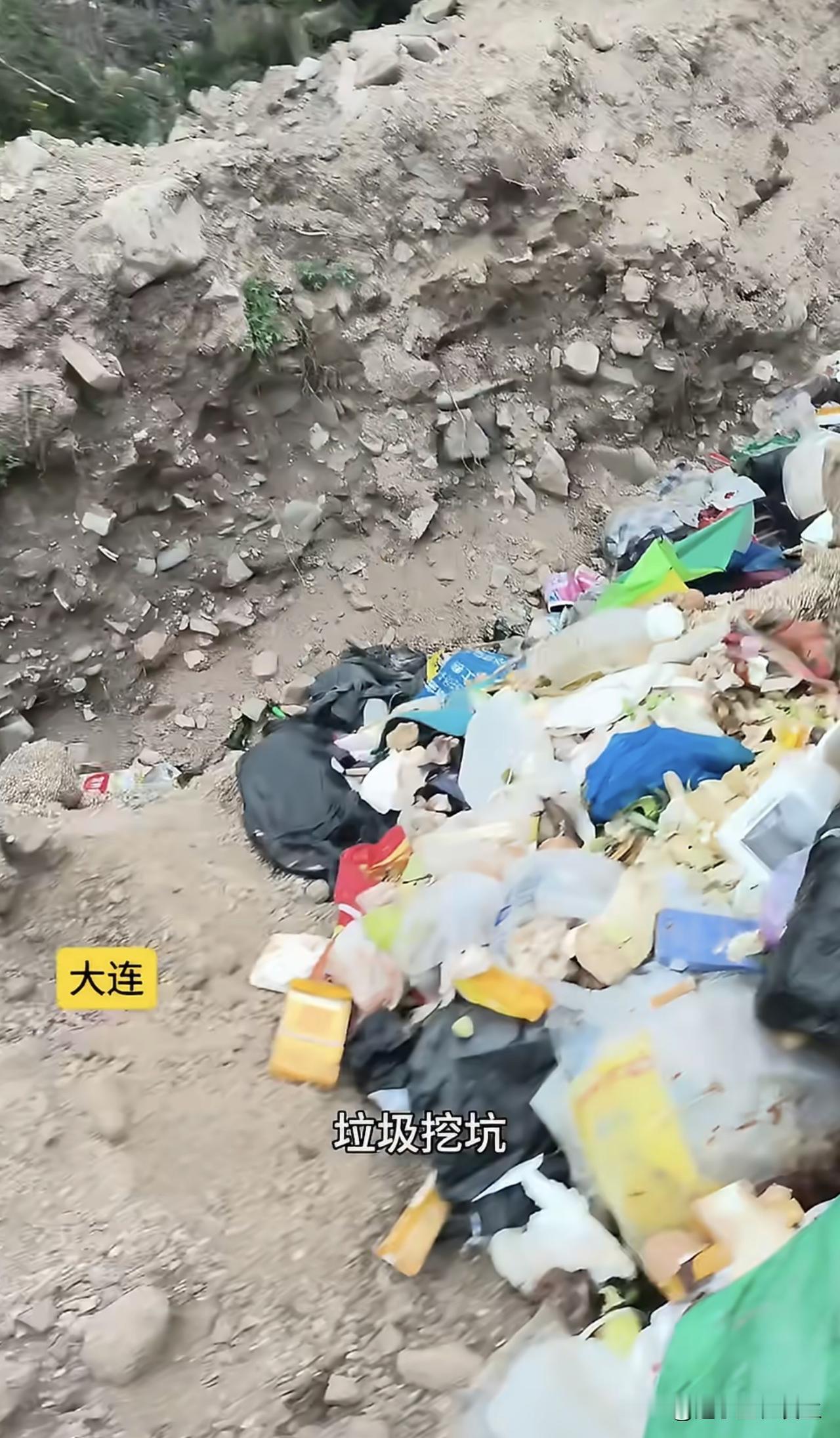 【辽宁一水源地企业生活垃圾挖坑倾倒】辽宁大连。庄河碧流河饮用水水源地遭违规污染！