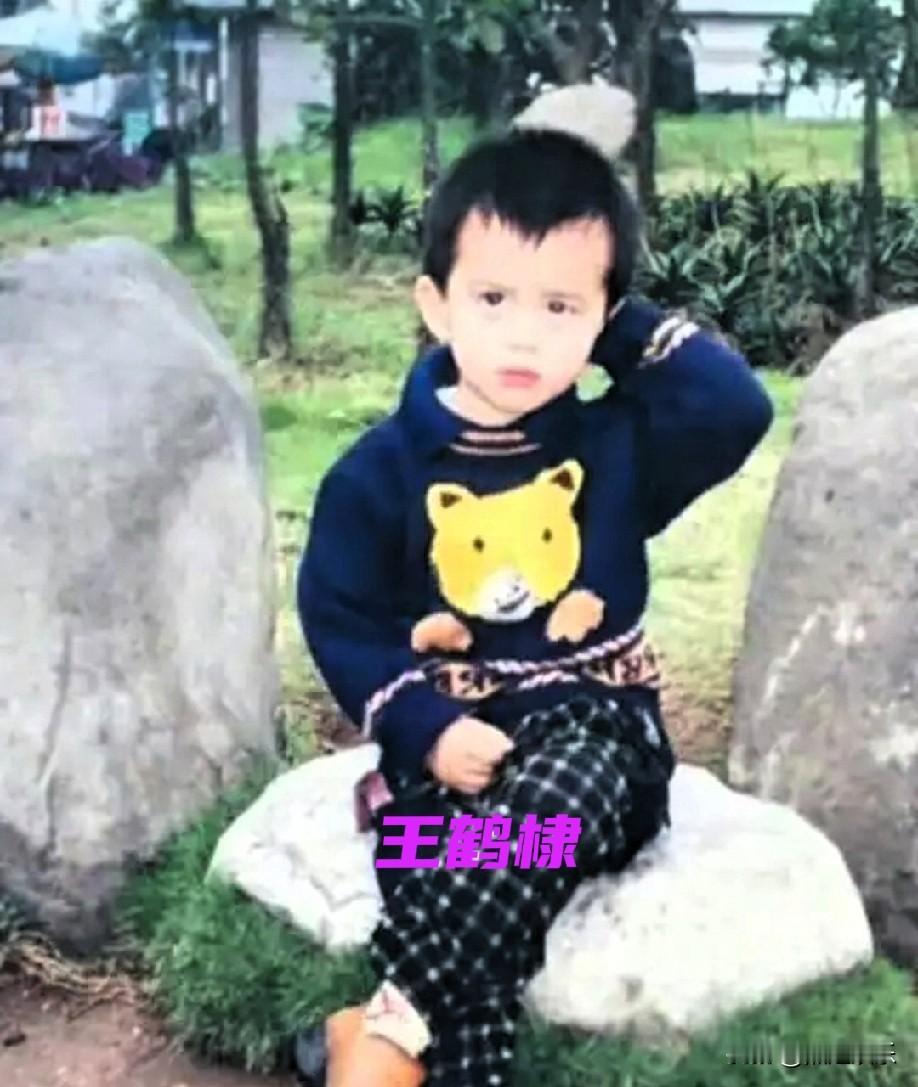 明星小时候的样子真的超有趣！王鹤棣童年就活泼，虽没长开但已有小帅哥模样。张凌赫年