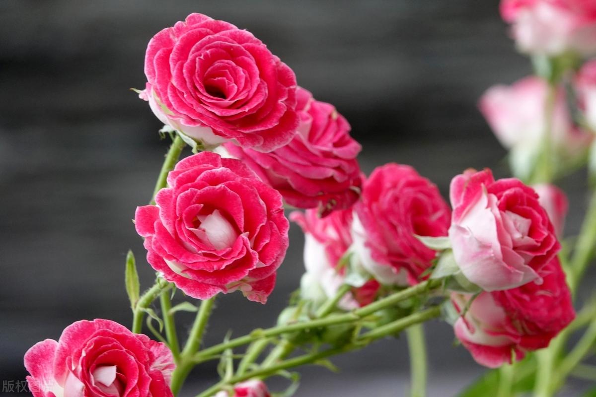 人生遭遇，各有因果，倘若一切皆有定数，该离去的都会离去，该来的都会到来，那就把该