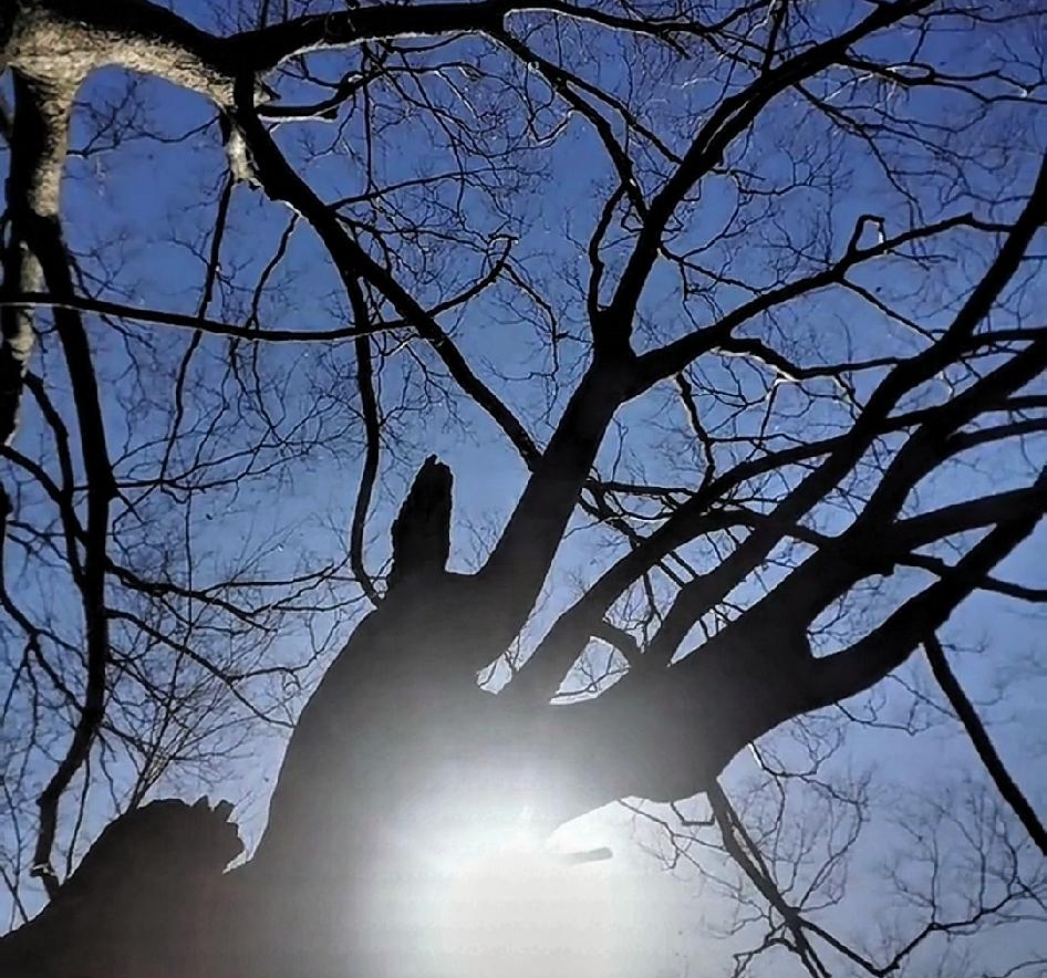 订婚未领证遇这事，别纠结！去不去、戴不戴孝，藏着最实在的人品！昨天儿子急着打电