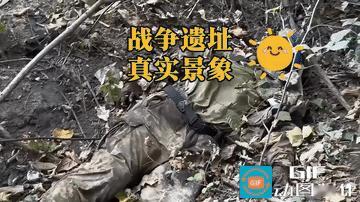 一个人走在曾经的俄乌交战区，眼前的景象还是让人心里发毛。仗打完有些日子了，林子里