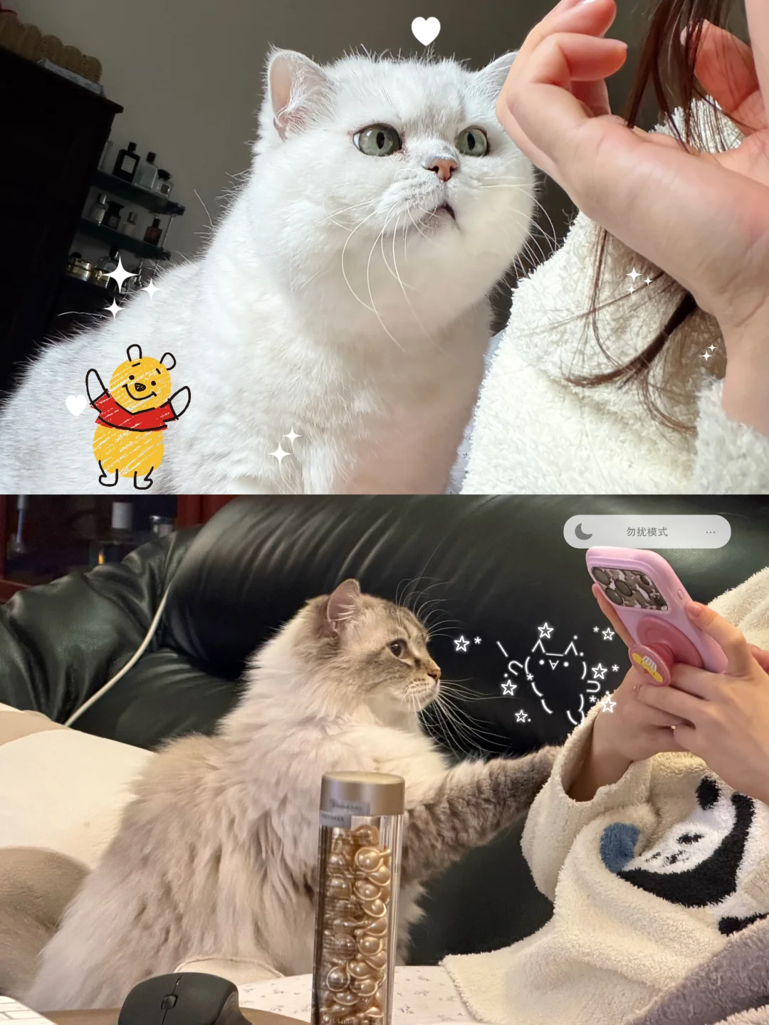 plog | 早安🌞晚安🌙