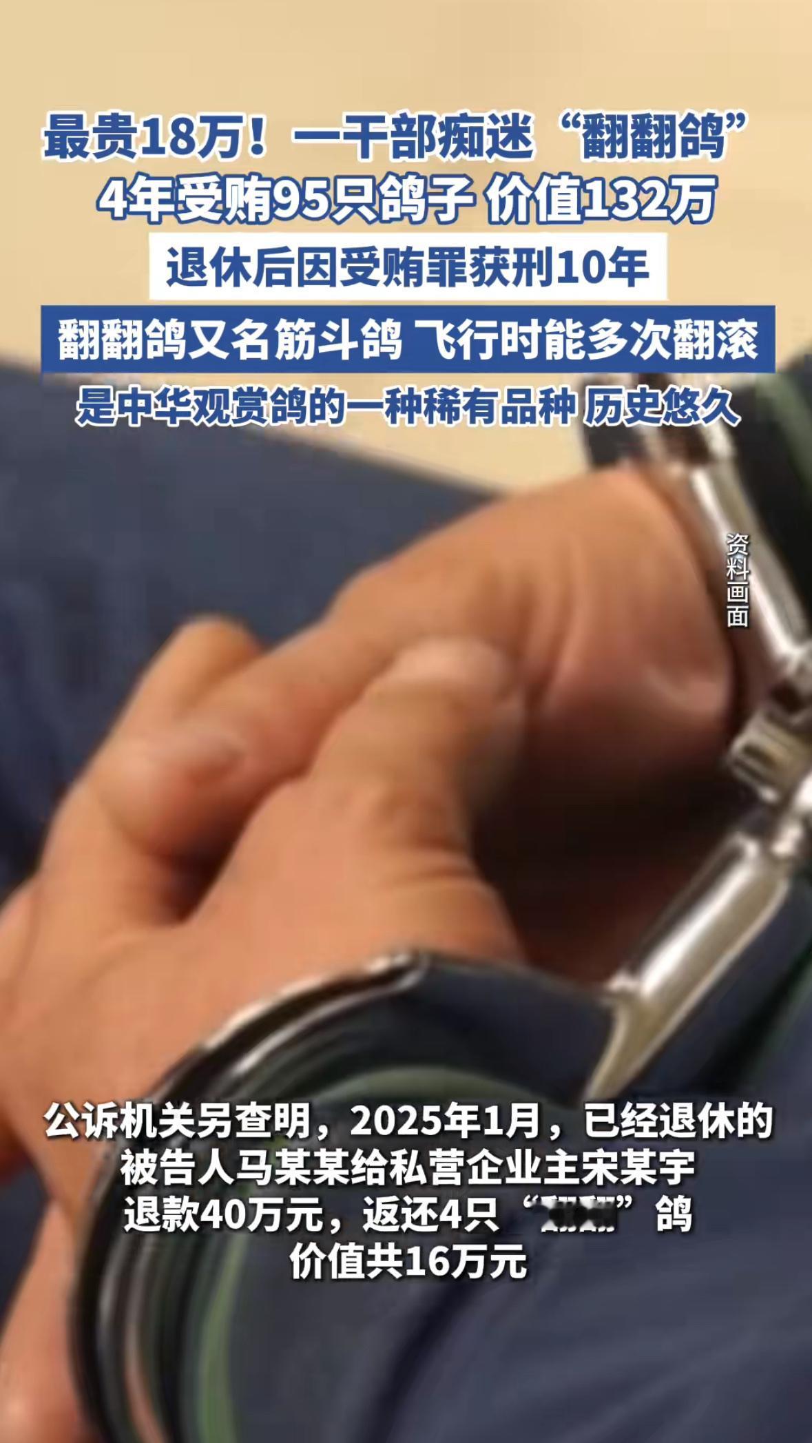 “18万一只鸽子？这得是金子做的吧？”当新疆阿勒泰市青河县原应急管理局局长马某某