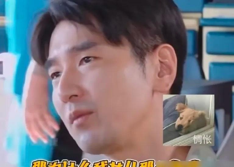 赵又廷跟黄晓明聊闺女，话里全是遗憾。他说女儿长得太像自己，做梦都盼着像高圆圆。黄