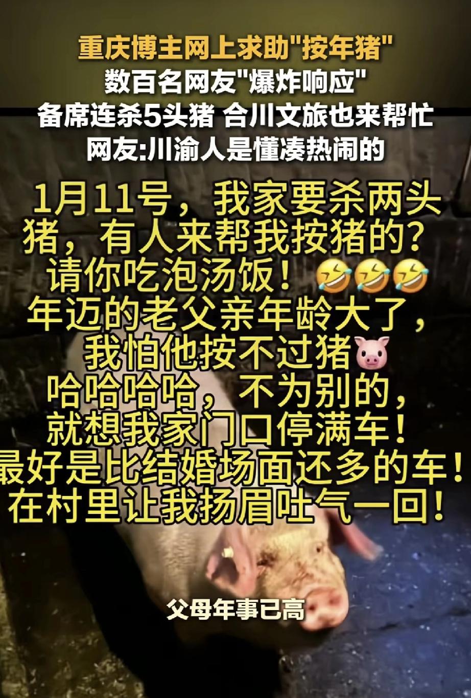 万万没有想到，重庆合川，一女子在网上发视频分享，说自家要在1月11日杀两头猪，但