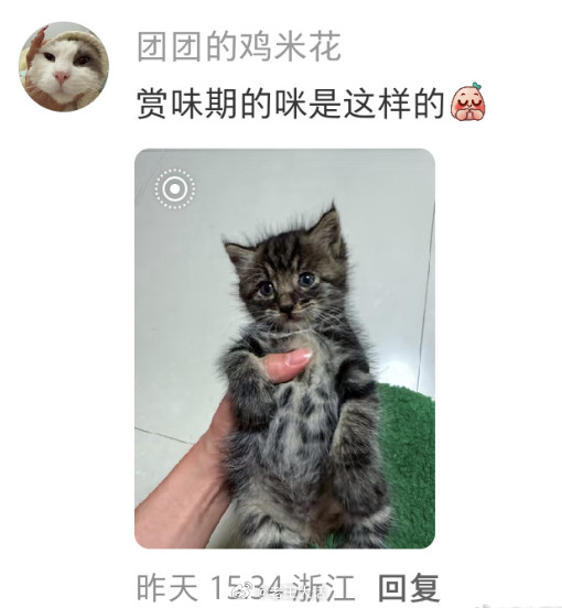 小猫羽化值拉太高了