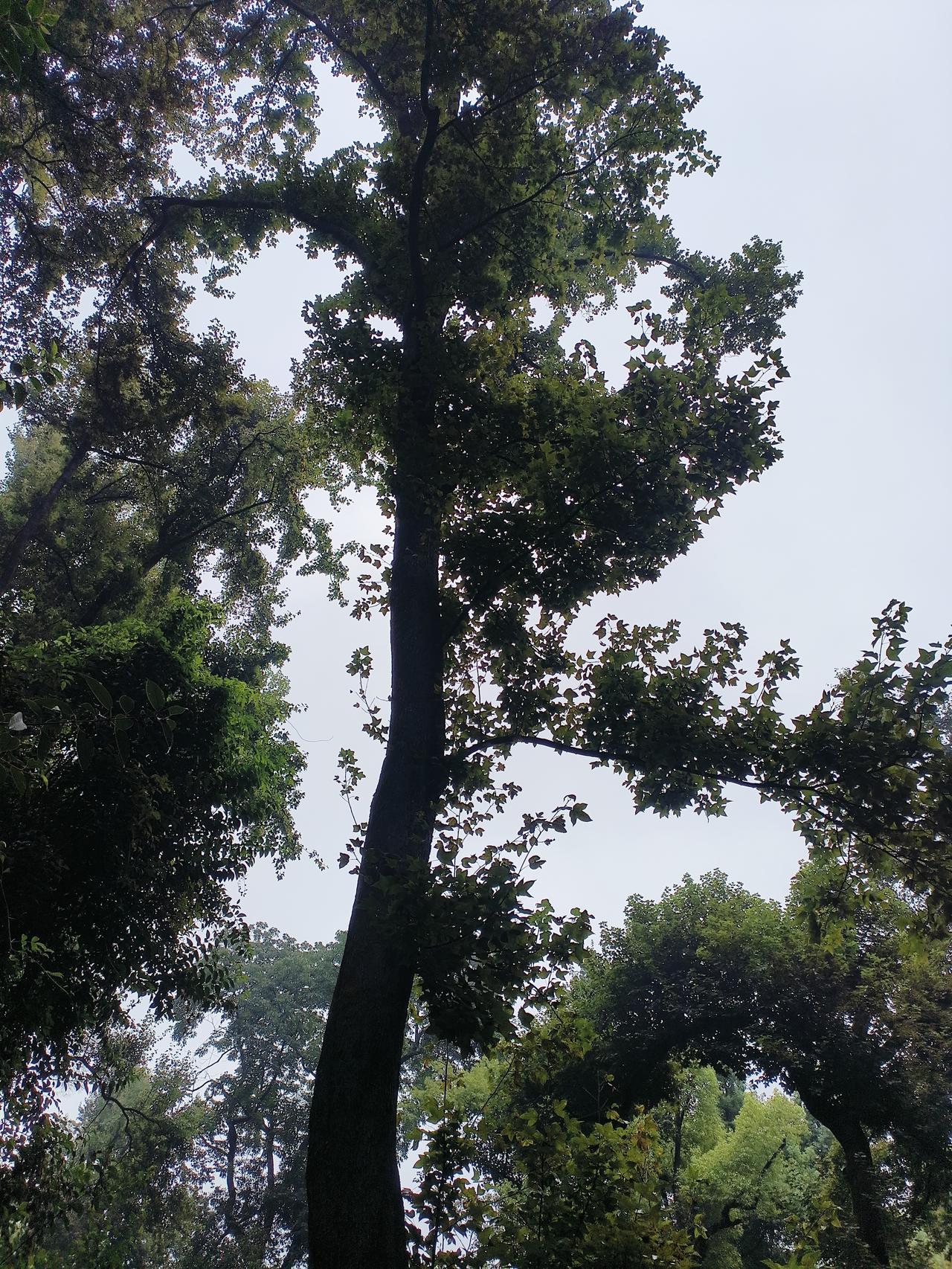 全球风王“桦加沙”今晚影响湖南，湘中以南需防暴雨9级阵风9月23日秋分过后