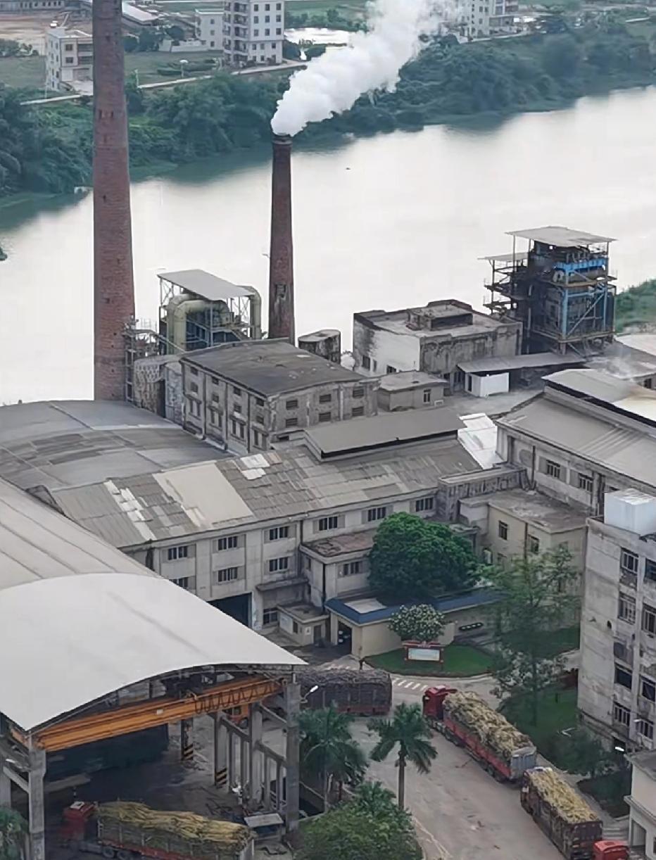 得道者多助！广东茂名的化州耀明糖厂真的太给力，太及时，帮了两广甘蔗农的大忙！