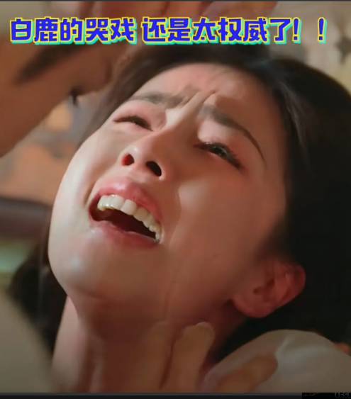 白鹿又火了，不只是因为演技，也不是因为性格，而是她的哭戏再一次火了！我从周生如
