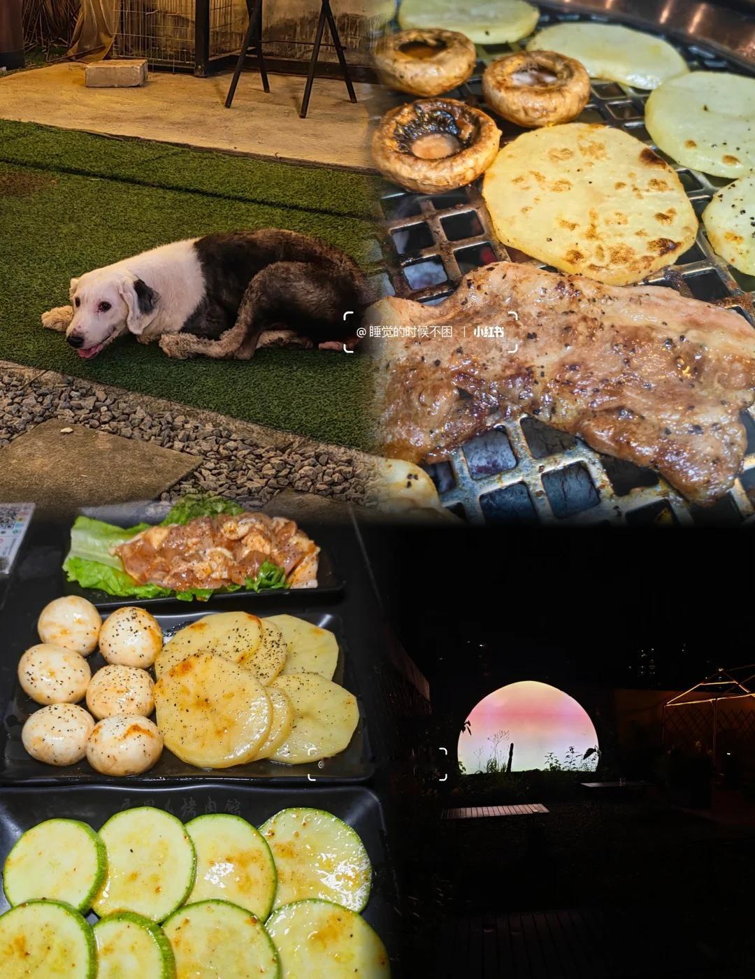 广州天河｜露营烤肉还能撸猫撸狗夏日·晚风·和TA氛围感拉满.两只可爱的小咪