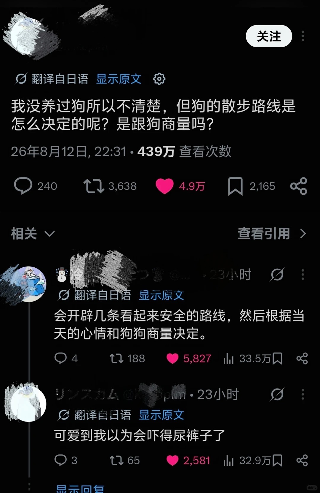 遛狗路线居然是狗来选择吗