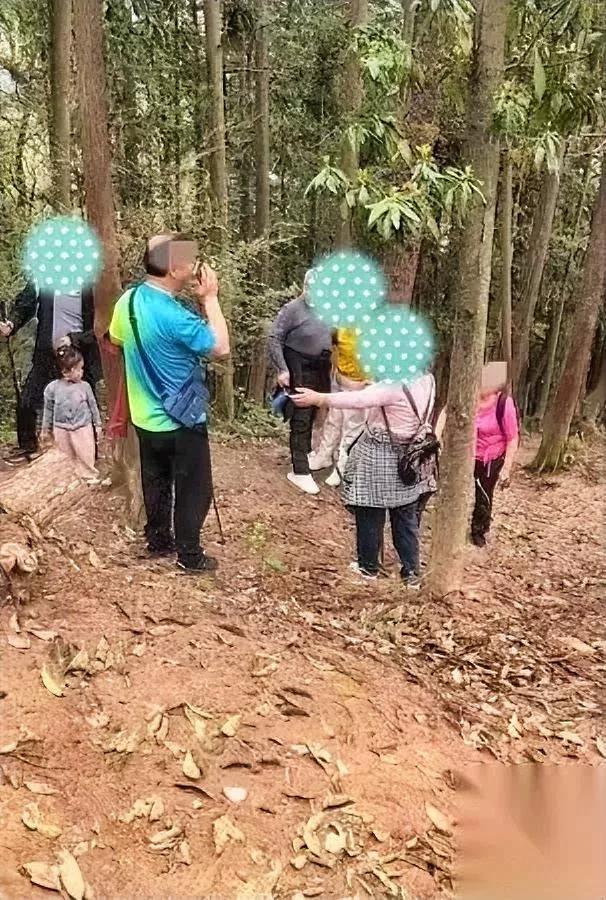 几个老人爬山半道出了事大爷这操作换谁看都懵。一伙老人徒步爬南昌未开发