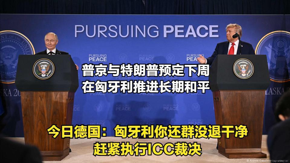 -数月前的德国：【不会执行国际刑事法院（ICC）对以色列总理内塔尼亚胡颁布的全