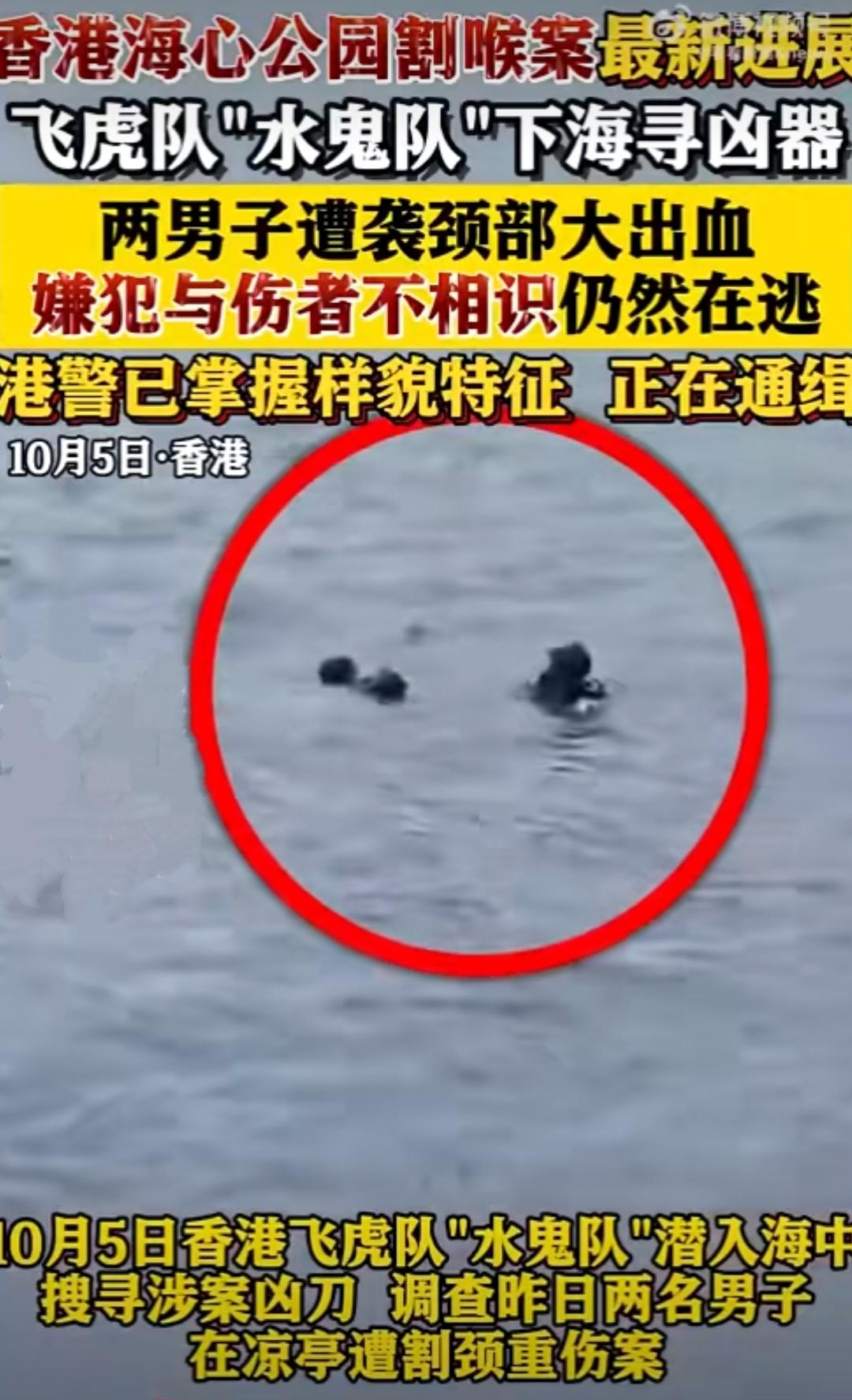 红磡海心公园的凉亭里，原本该是阿公阿婆下棋、主妇们遛娃的悠闲场景，却在某个正午被