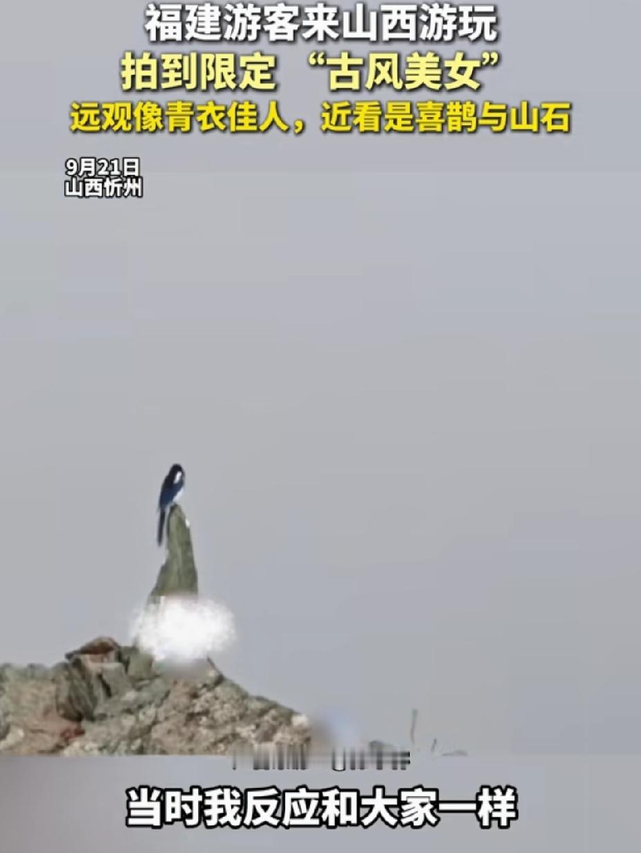 “太奇妙了！”福建游客来山西旅游，拍照，没想到拍到限定的“古风美女”。他走近一看