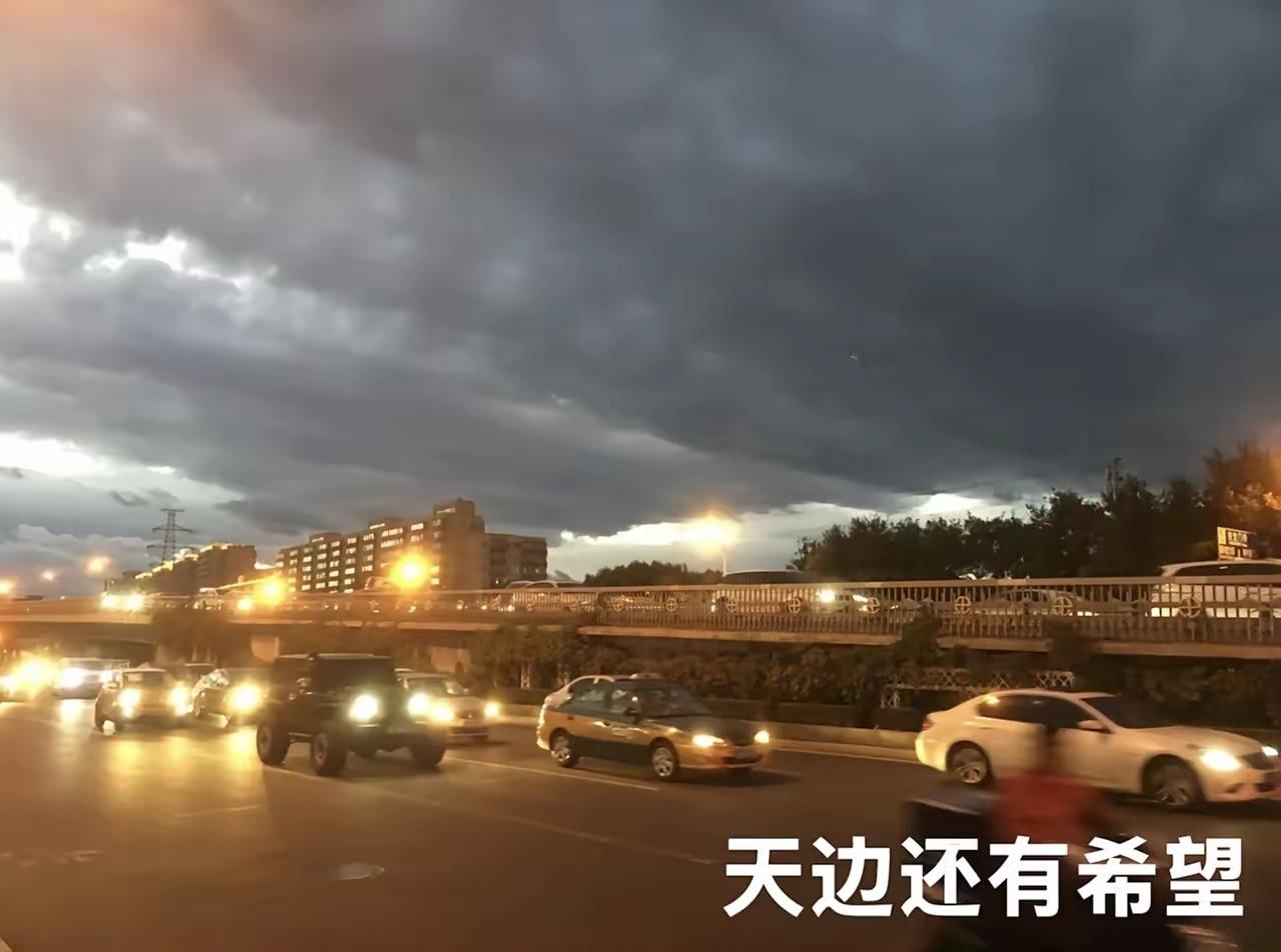 南博事件结局早有眉目？这10个猜想才是最可能的走向！别觉得是“和稀泥”，这