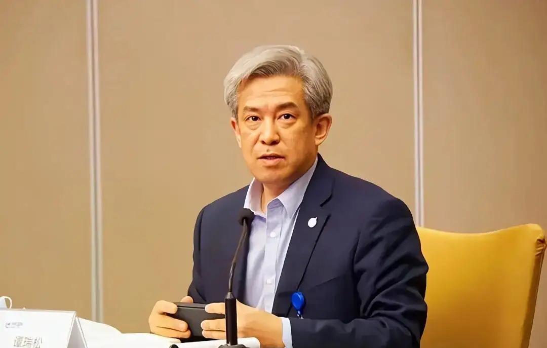 谭瑞松案：落马高管的终局与警示被免去职务三年多的谭瑞松，终究还是迎来了这一天