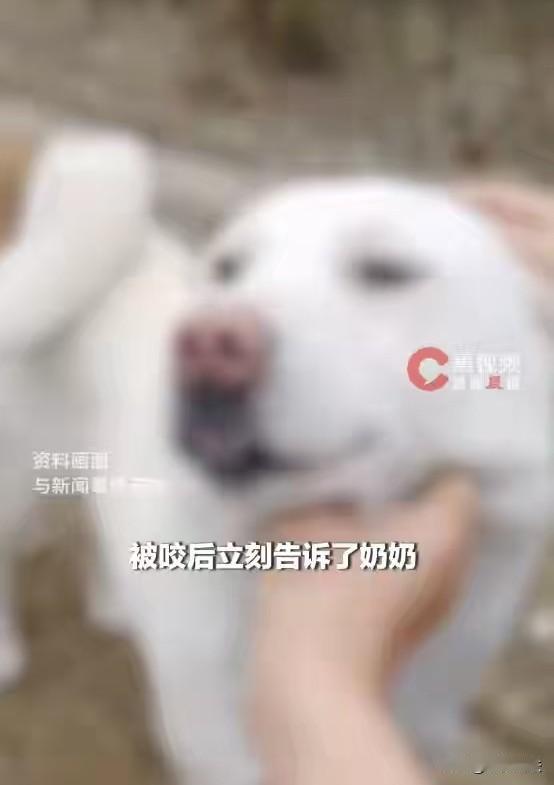 湖南，11岁女孩和弟弟玩耍时，被家里的狗咬伤，弟弟受伤后第一时间告诉奶奶，经过医
