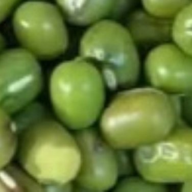 种植文案🌙种植0000绿豆的种植方法：1、选择种子。很多朋友应该都想知道种绿