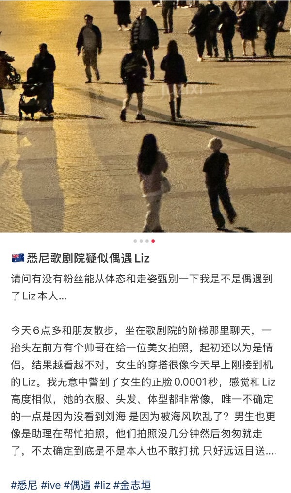 网友在悉尼歌剧院偶遇Liz夜晚与男（stf）单独出门