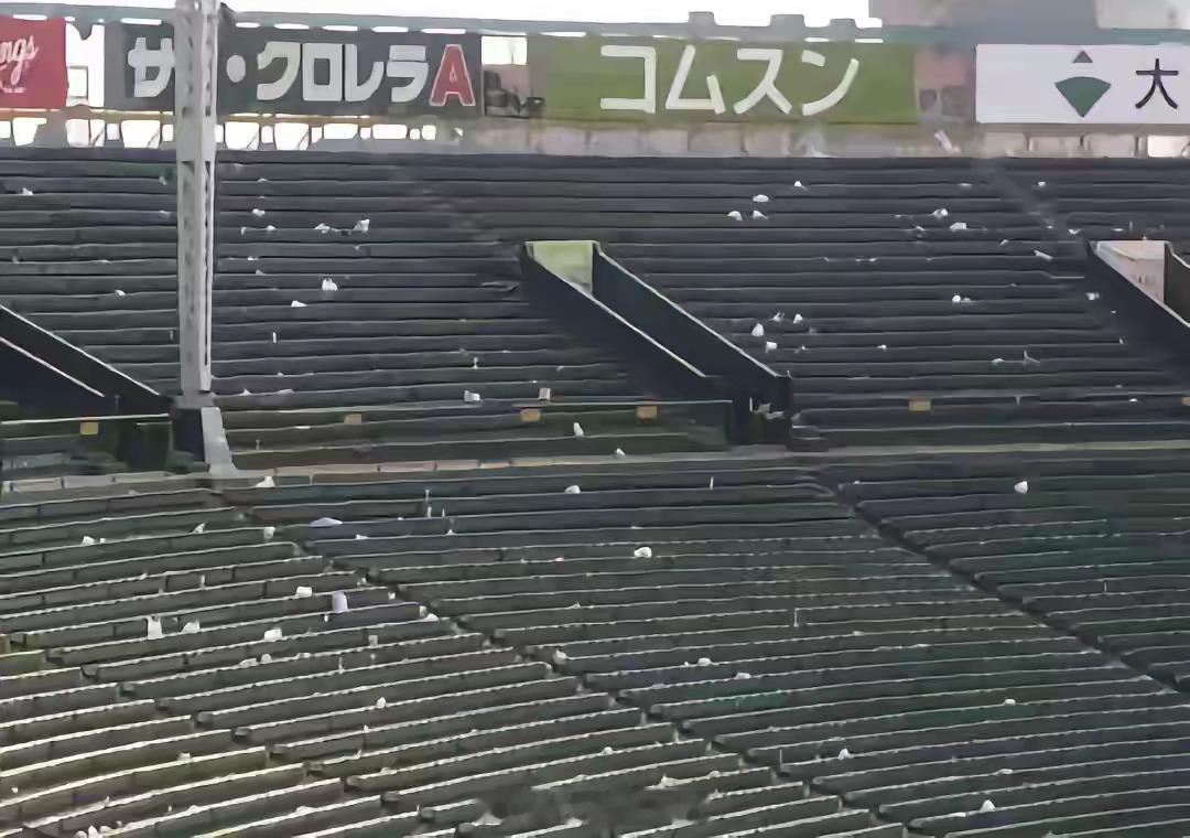 世界杯现场，日本人捡垃圾又火了！外国网友总结：日本人“三捡、三不捡！”1、国外捡