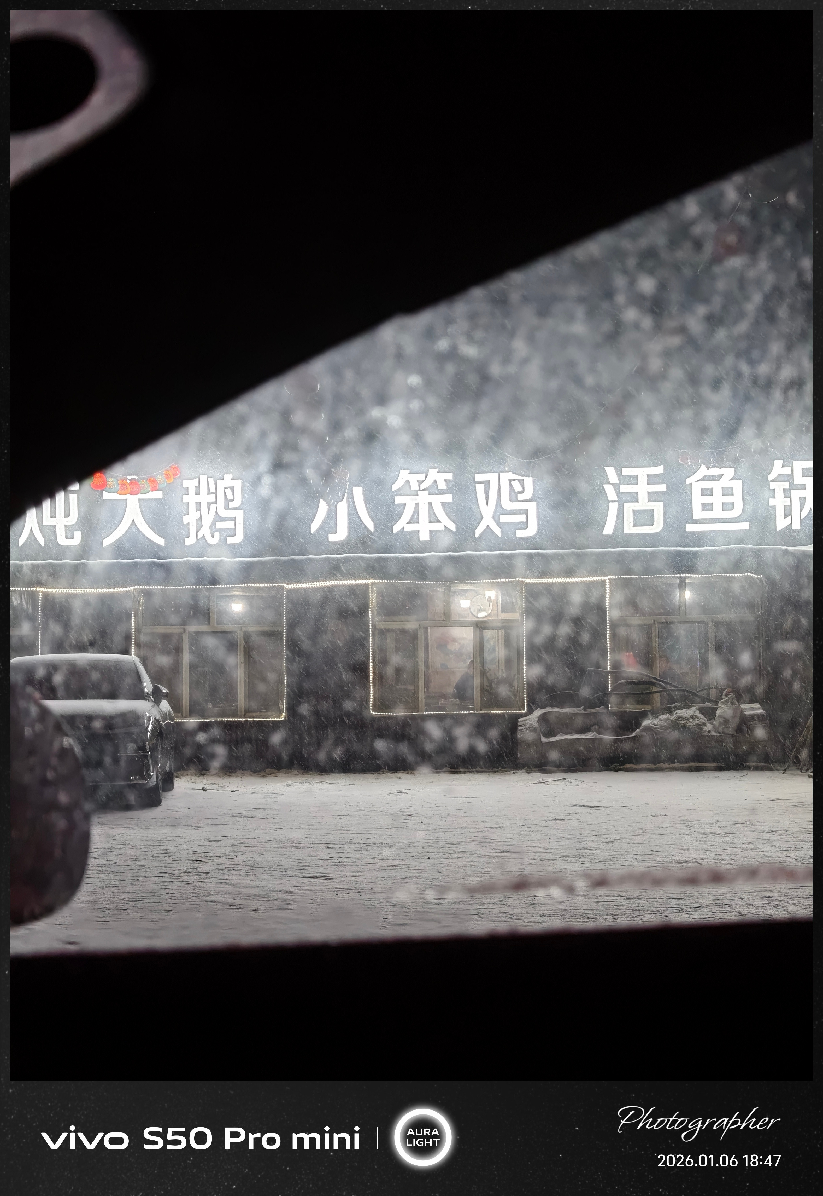 东北有小笨鸡的品种吗？