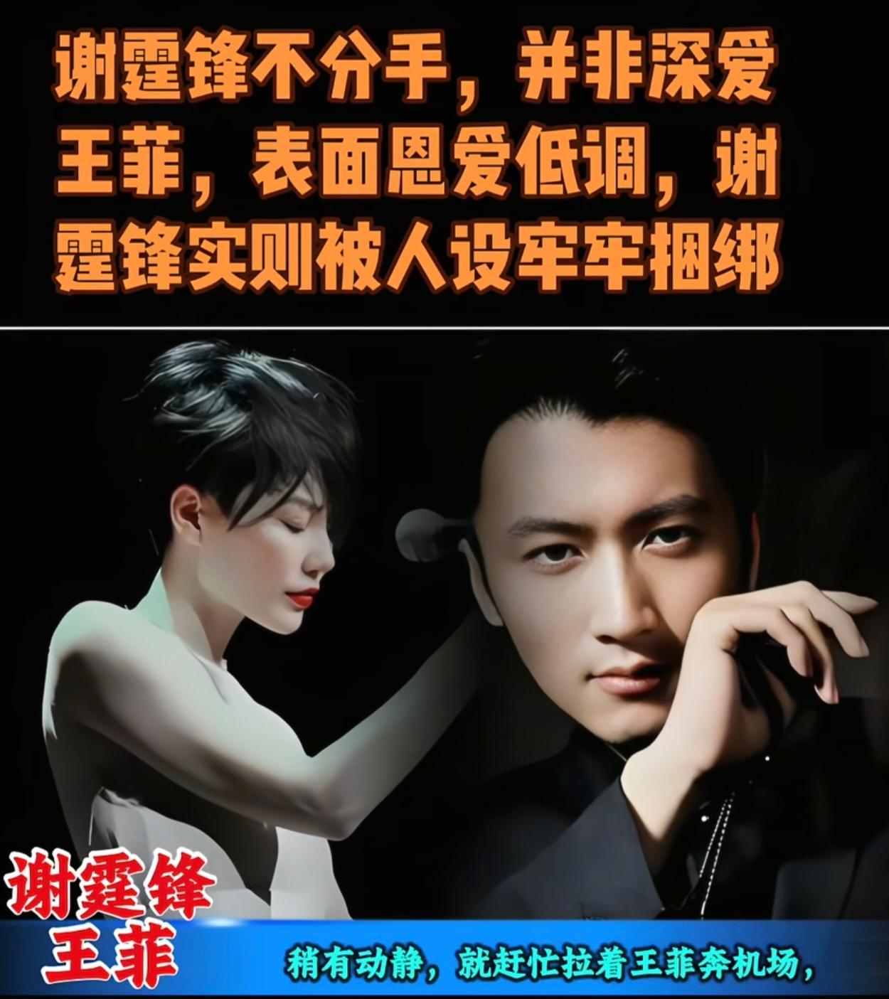 网上有位博主解读谢霆锋和王菲的相处模式说，两人常常会在机场同框现身，大多是舆论走