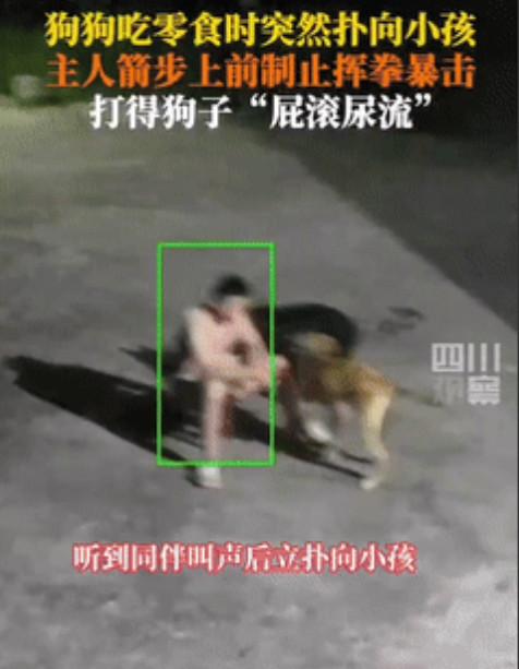 “真解气！”湖南湘潭，男子喂狗时，狗子突然扑向旁边小孩，小孩妈妈急忙拉着孩子躲避