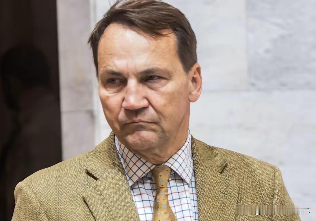 波兰外长看不下去了，直言支付账单的人必须有发言权！波兰外交部长西科尔斯基表示