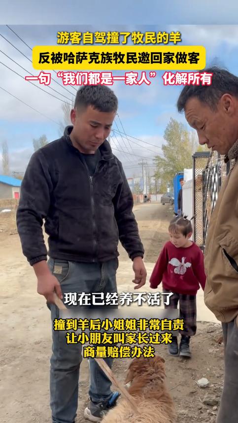 “上央视新闻了!”新疆阿勒泰,一女子自驾游时,不小心撞到了牧民的羊,羊腿骨折活不