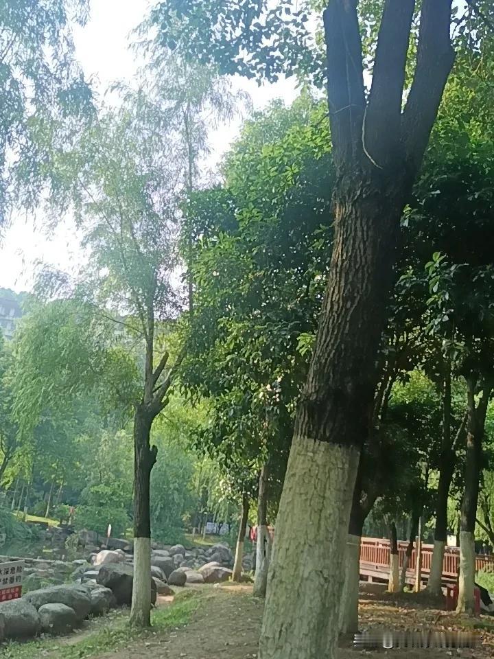 为什么说炒股赚钱不容易？众所周知，全世界最难的职业应该是炒股了。不说历史上有