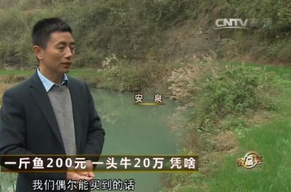 有钱人只会越来越有钱吗？”2013年，贵州一小伙回老家钓鱼，他发现鱼塘附近有数条