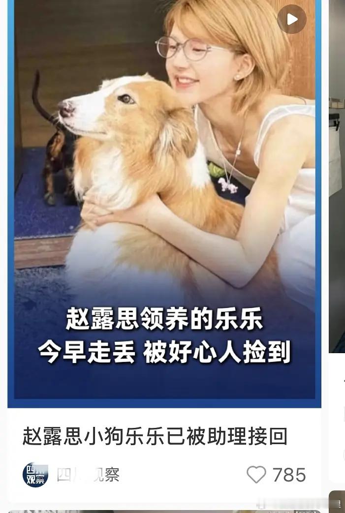 赵露思的新🍉又来了，这次又是他家的🐶​​​
