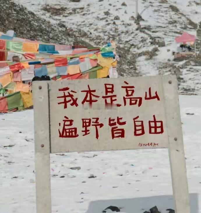 摩羯座的人具有强大的自律能力和目标导向。他们通常会为自己设定明确的目标，并通过不