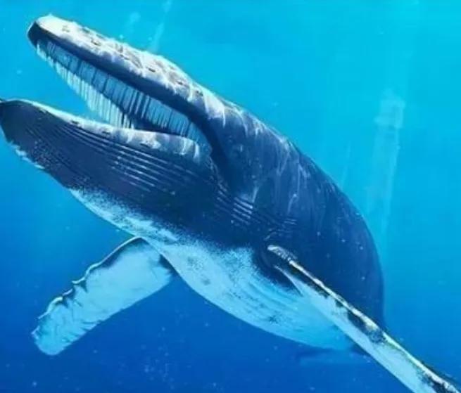 1891年，人们捕捉到一头鲸鱼，发现鱼肚里竟然有一个人，全身溃烂，双目失明，大家