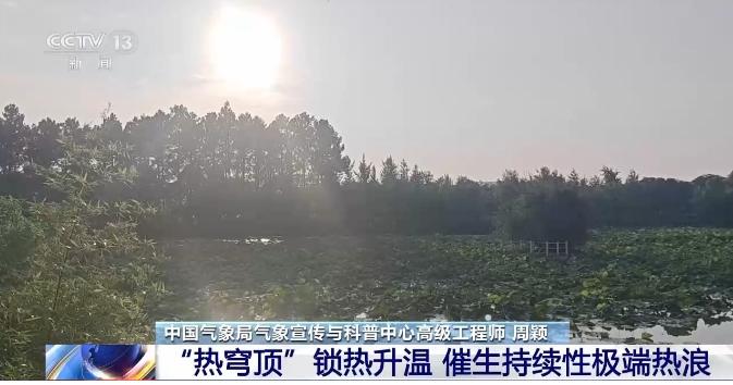别被眼前的凉快骗了！今年的天气，邪性得很。最新的全球气候数据摆出来，整个地球都像
