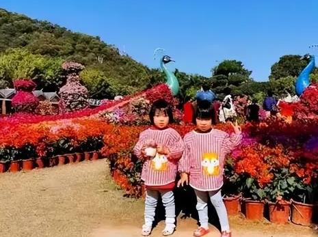 1999年，贵阳一妈妈说去给双胞胎女儿买生日蛋糕，却一去不返！俩孩子等到天黑不见