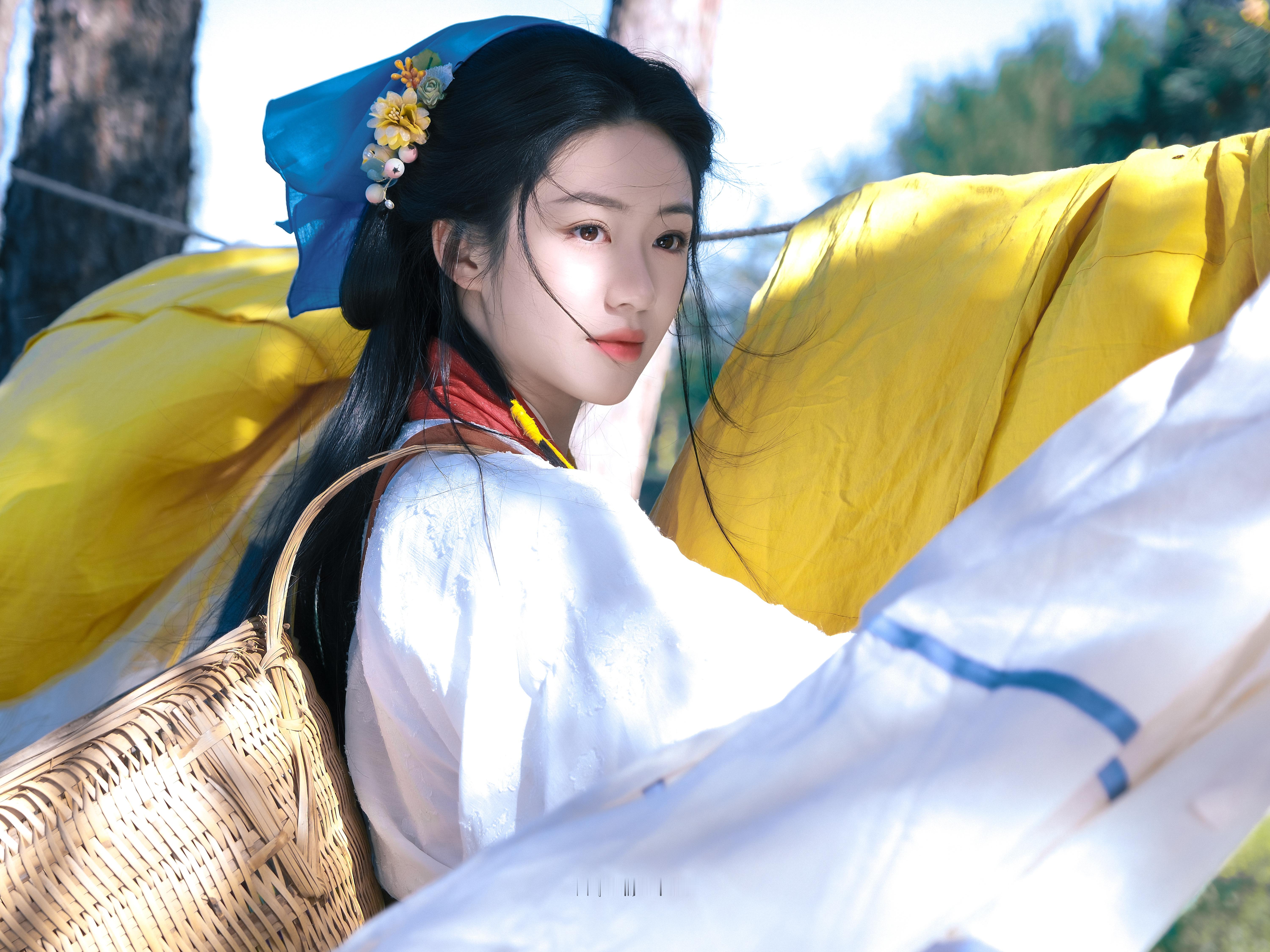 向涵之/💐🍃向涵之定风波​​​