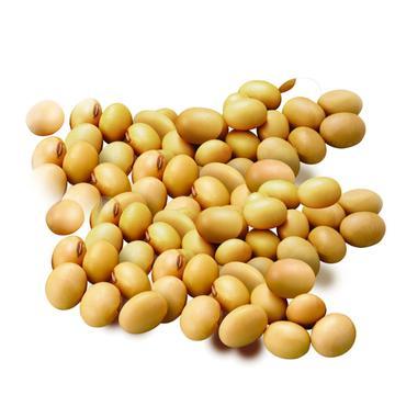 为何我们不多种植一些大豆呢？中国台湾省著名时事评论员帅化民曾说，中国大陆几乎什么